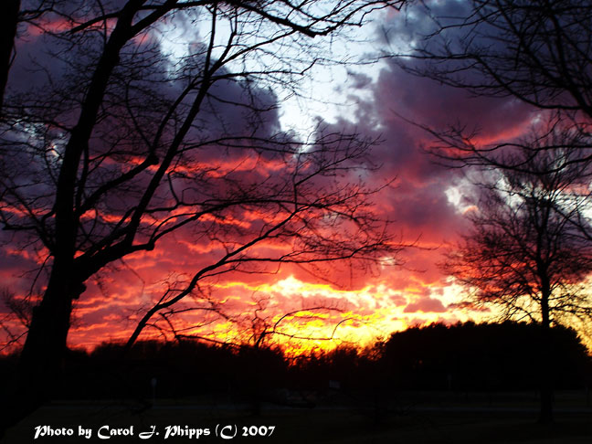 Sunset Therapy.