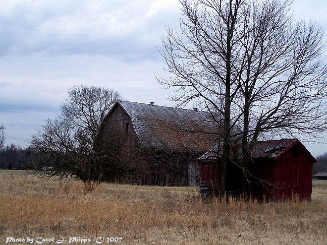 Old Barn and Shed.