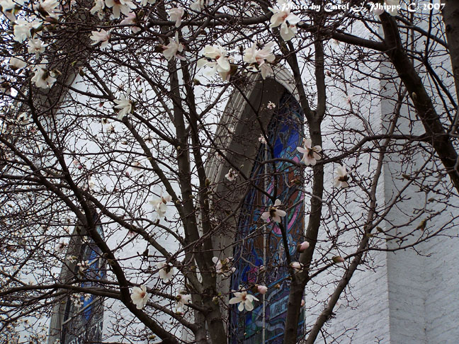 Prince of Peace Catholic Church Dressed in Early Spring.