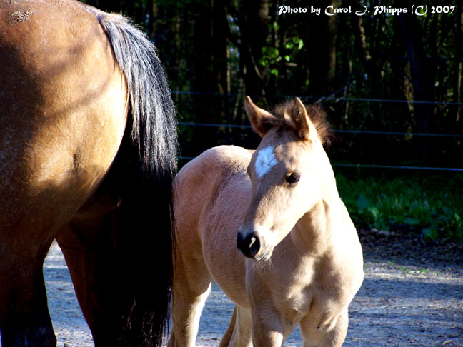 Mother and New Pretty Girl!