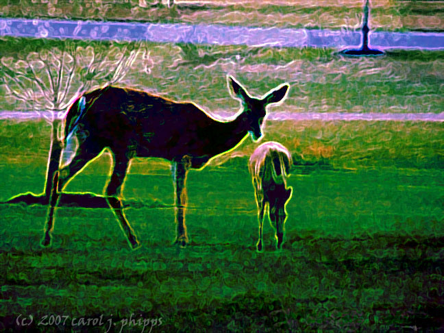 Deer Me.