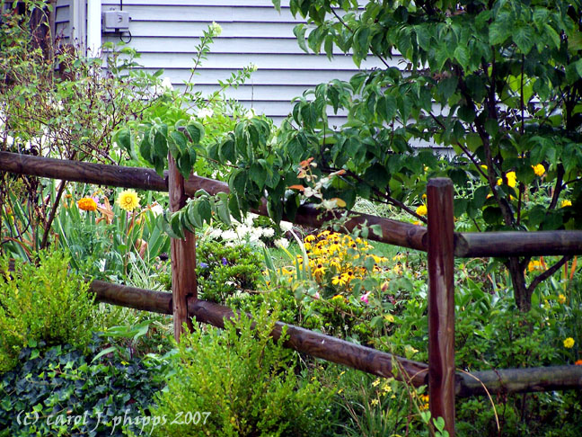 Neighborhood garden \ West Virginia