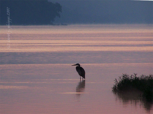 Sunrise MILTON.JPG