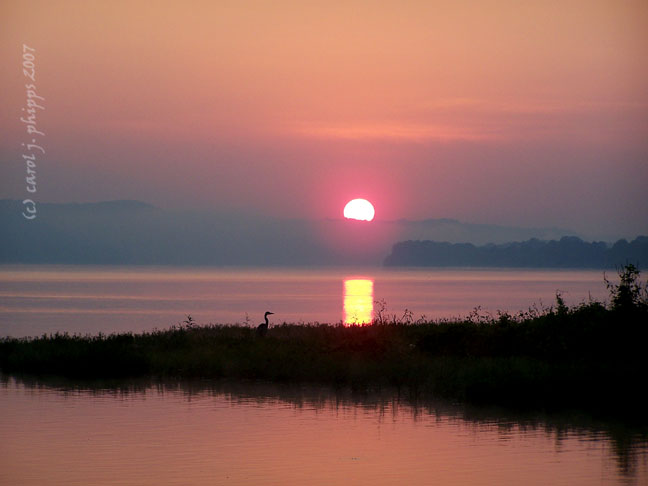 Sunrise MILTON.JPG