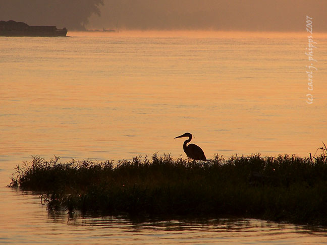 Sunrise MILTON.JPG