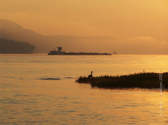 Sunrise MILTON.JPG