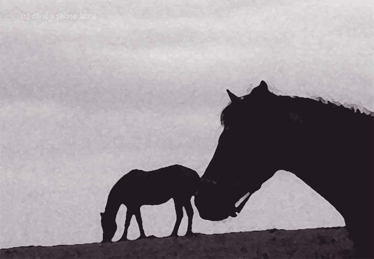 Maryland Horse Farm.