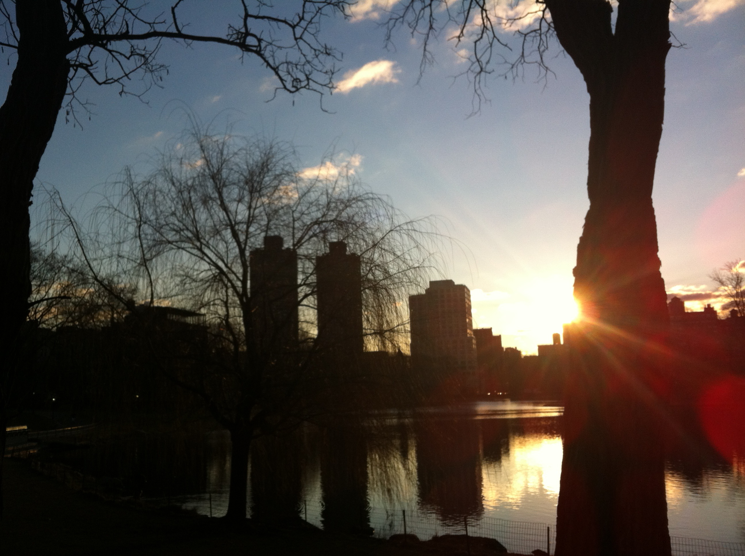 Central Park, NY, amaneciendo