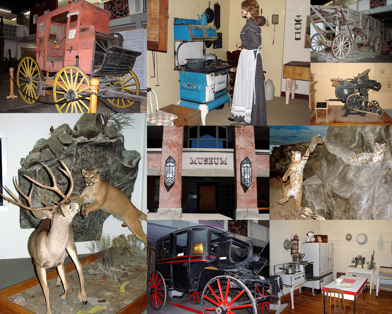July 7 Collage