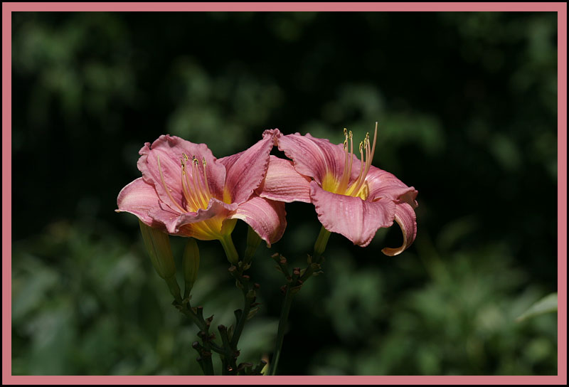 July 31, 2007  9651