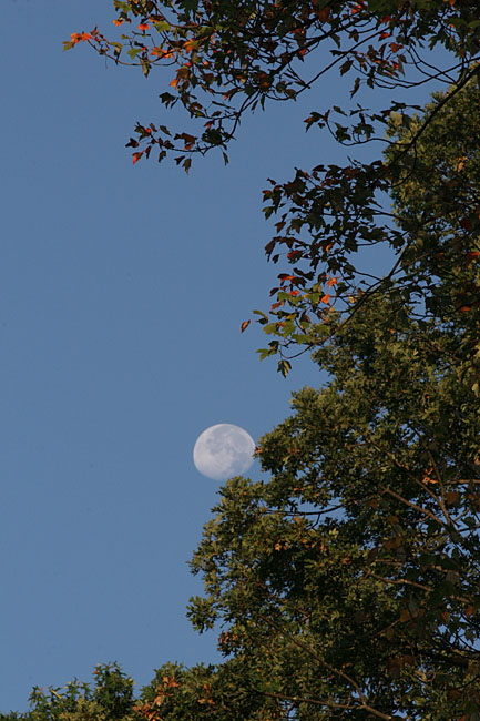 September 29, 2007    1835