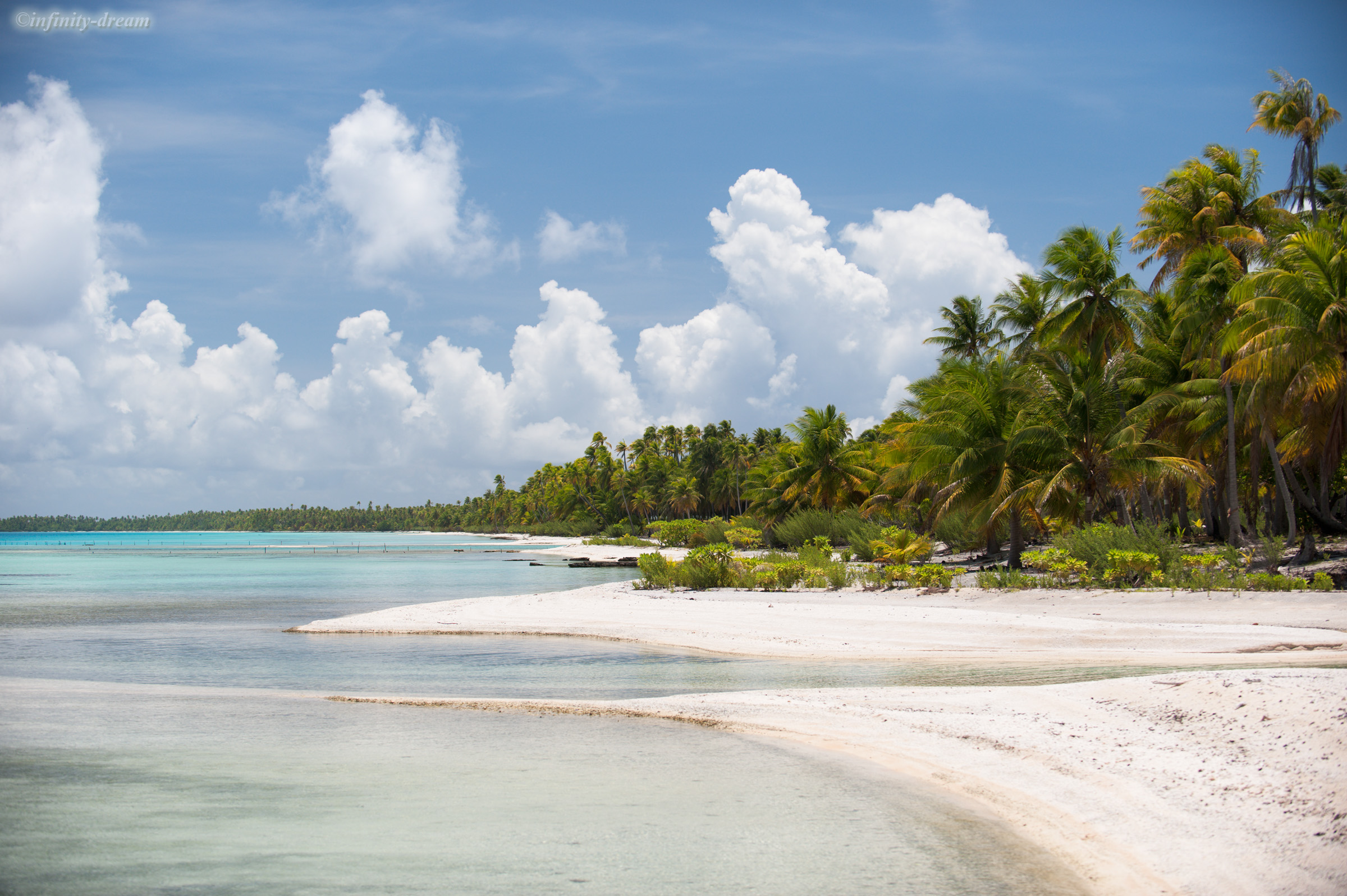 The coast of the motu on Tikehau