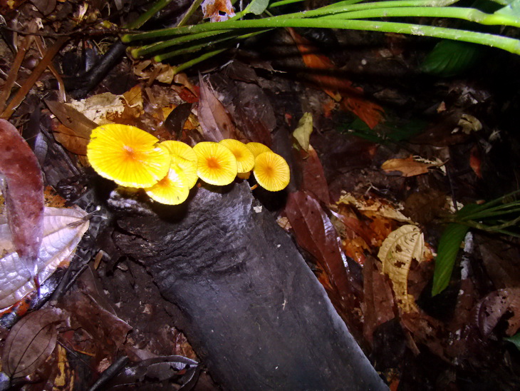 DSC00960er.JPG