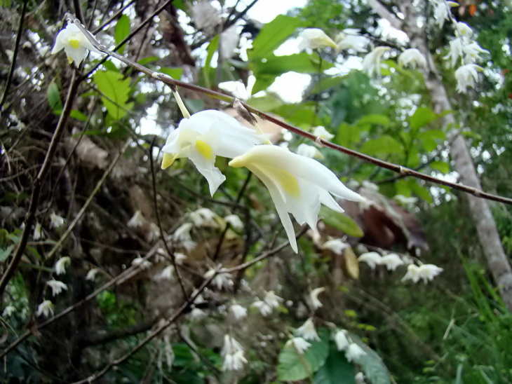 DSC01043er.JPG
