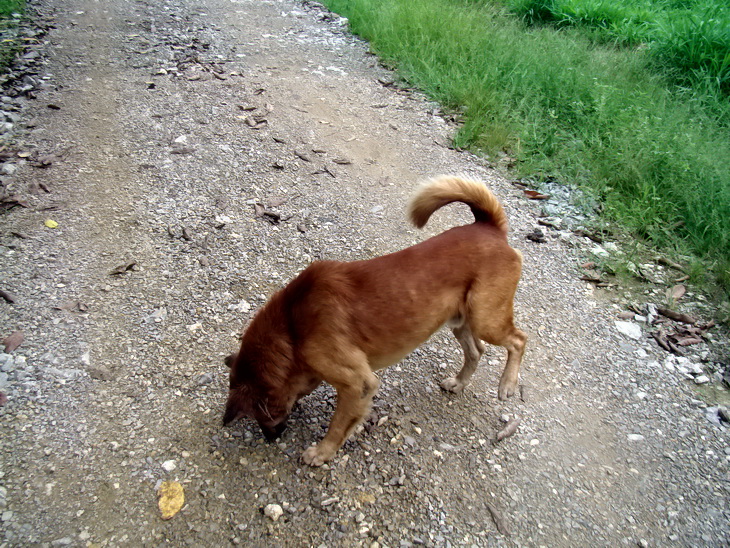 DSC01263er.JPG