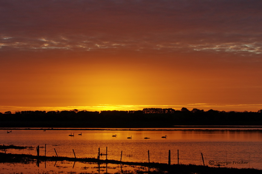 Swan Lake Sunset Breamlea, Victoria, Australia