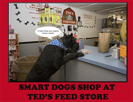Smart Dogs