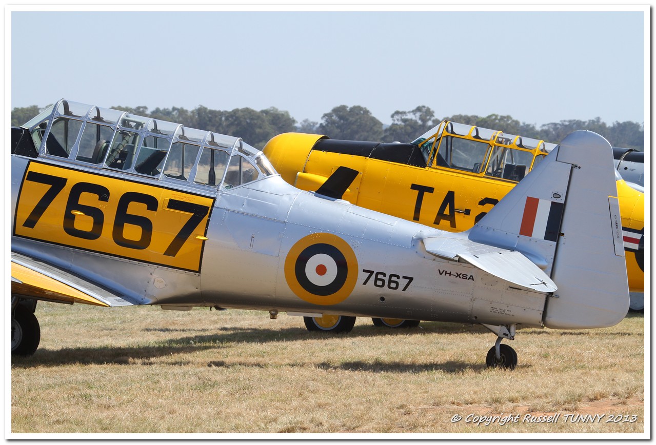 A pair of Harvards