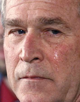 o6/65/422365/1/72945741.gh8Cky0r.bushweeping.jpg