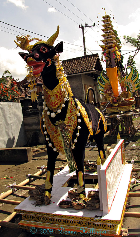 Balinese Funeral Bull