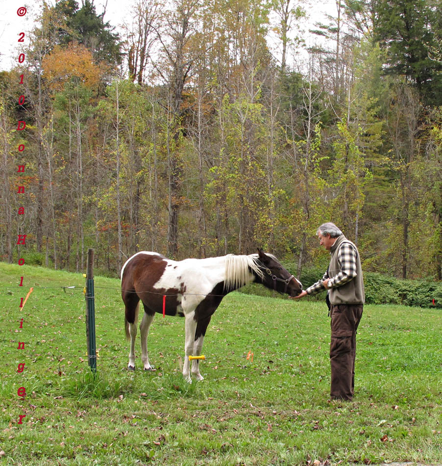 Petter making friends with the Pony