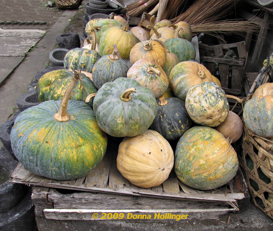 Pumpkins in Bali