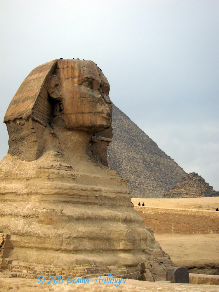 Magnificent Head of the sphinx