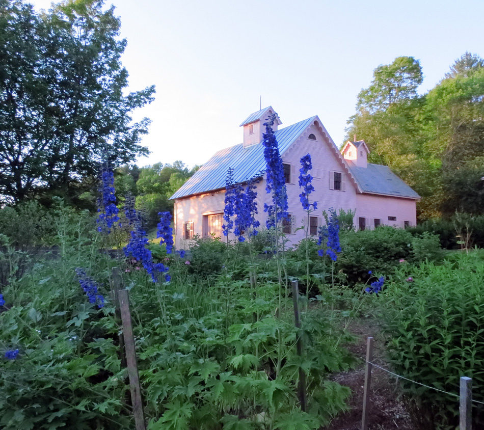 The Sheep House with Garden Delphinium