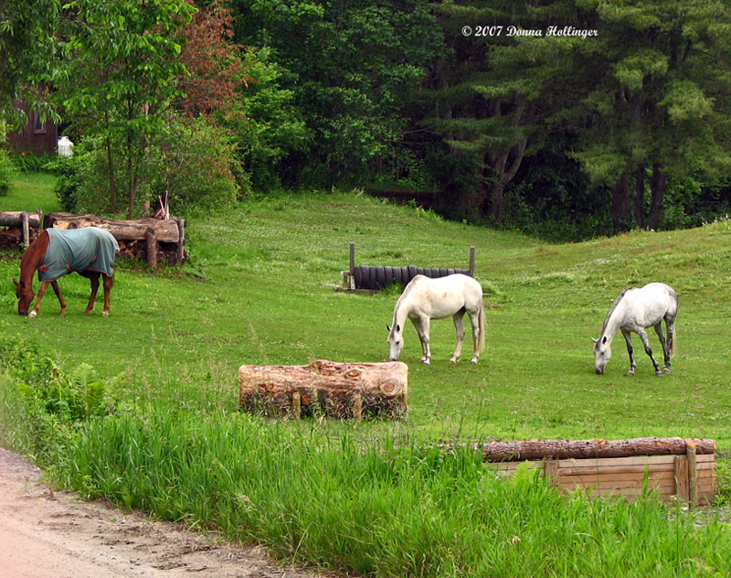 Vermont Horse Farm