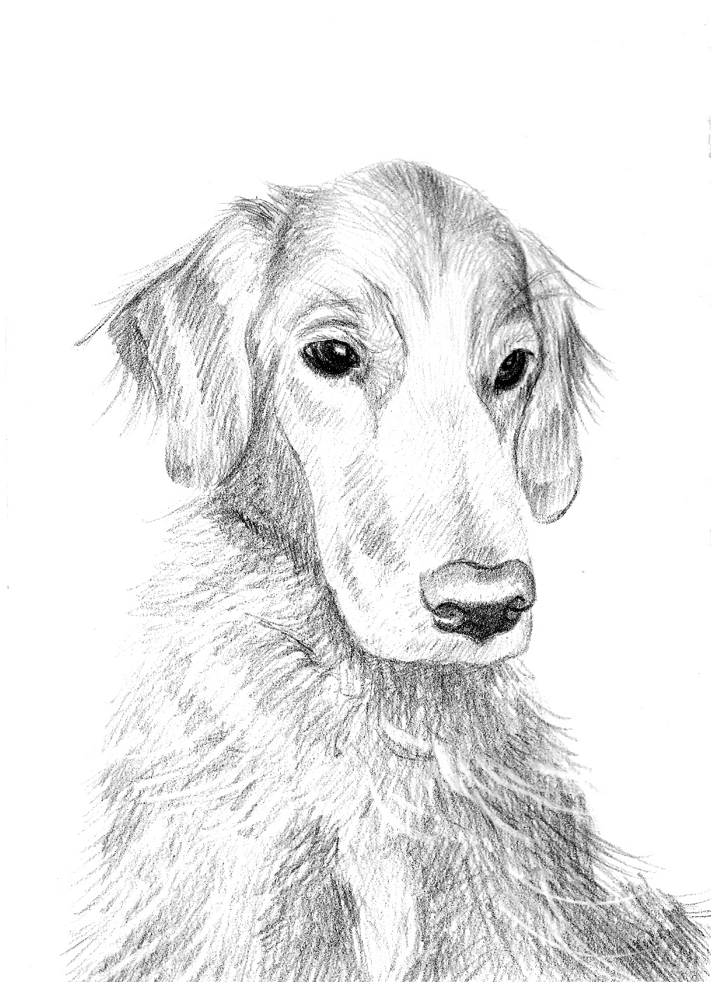 Sam