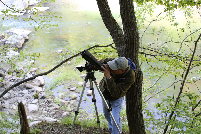 Digiscoping the site