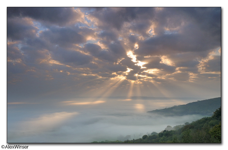 Chanctonbury Ring Dawn
