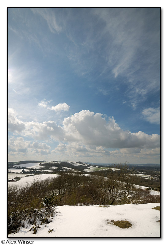 Chanctonbury Ring