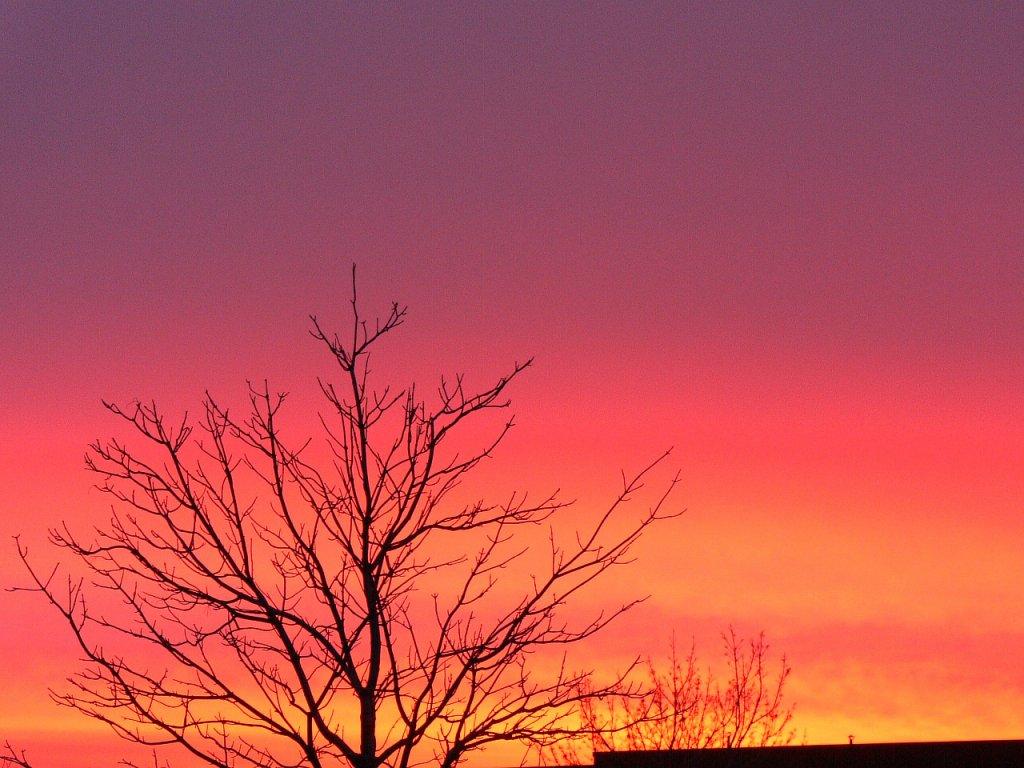 Dawn skyline - March 19-2007