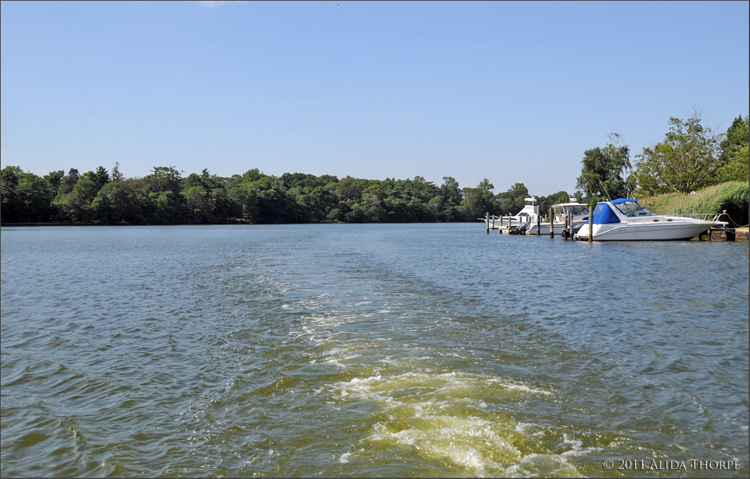 Connetquot River