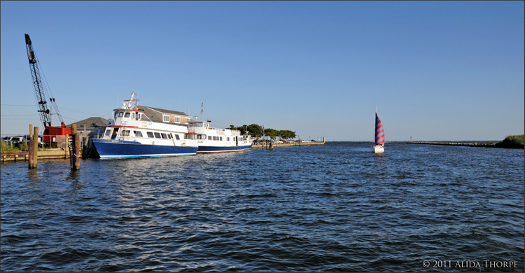 Patchogue River