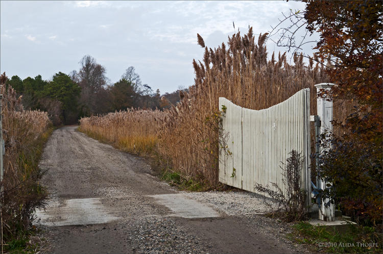 Meadow Croft gate