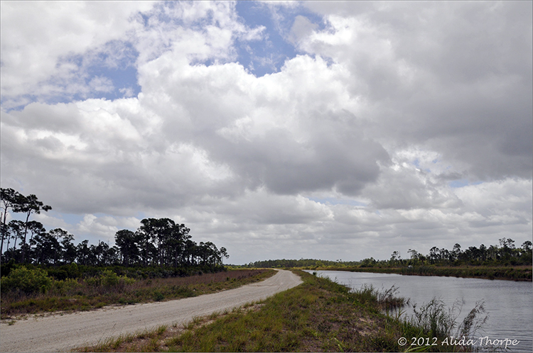 Jones/Hungryland Wildlife & Environmental Area