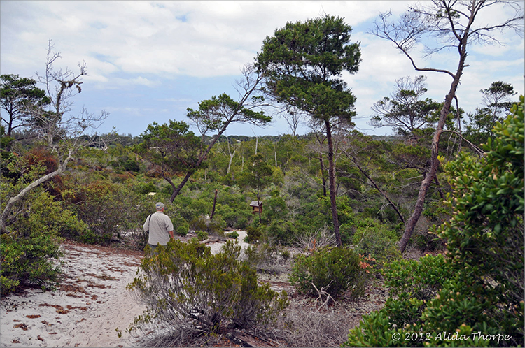 Hobe Nature & Wildlife Reserve