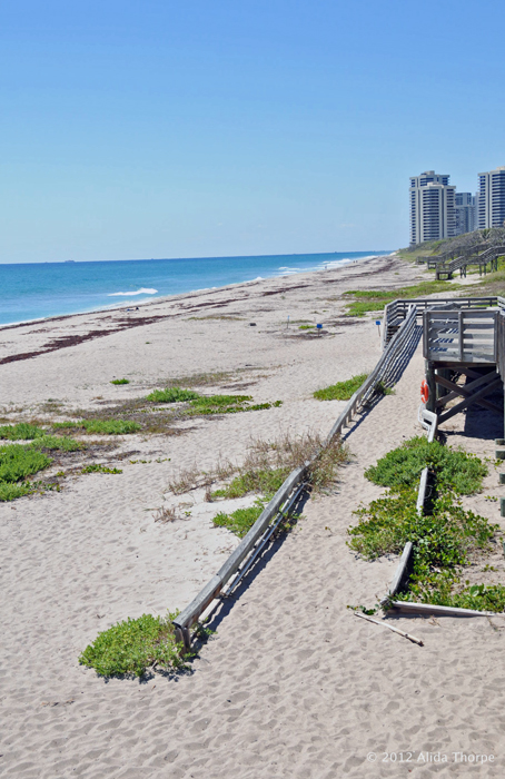 John D. MacArthur Beach State Park