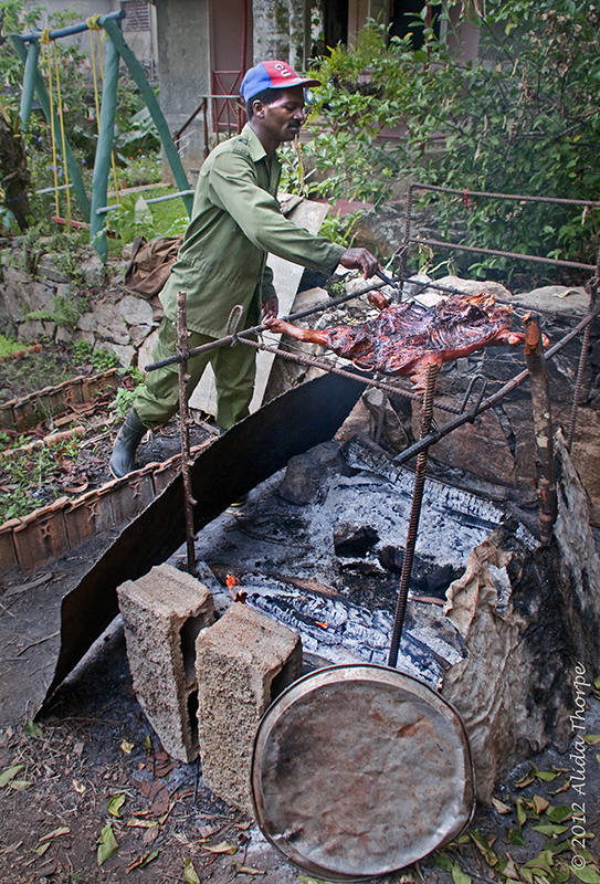 roasting pig