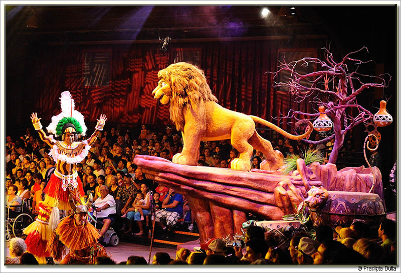 Lion King Festival