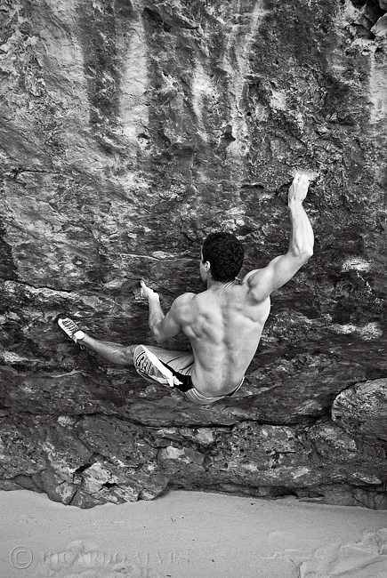 Xuta Cavalo