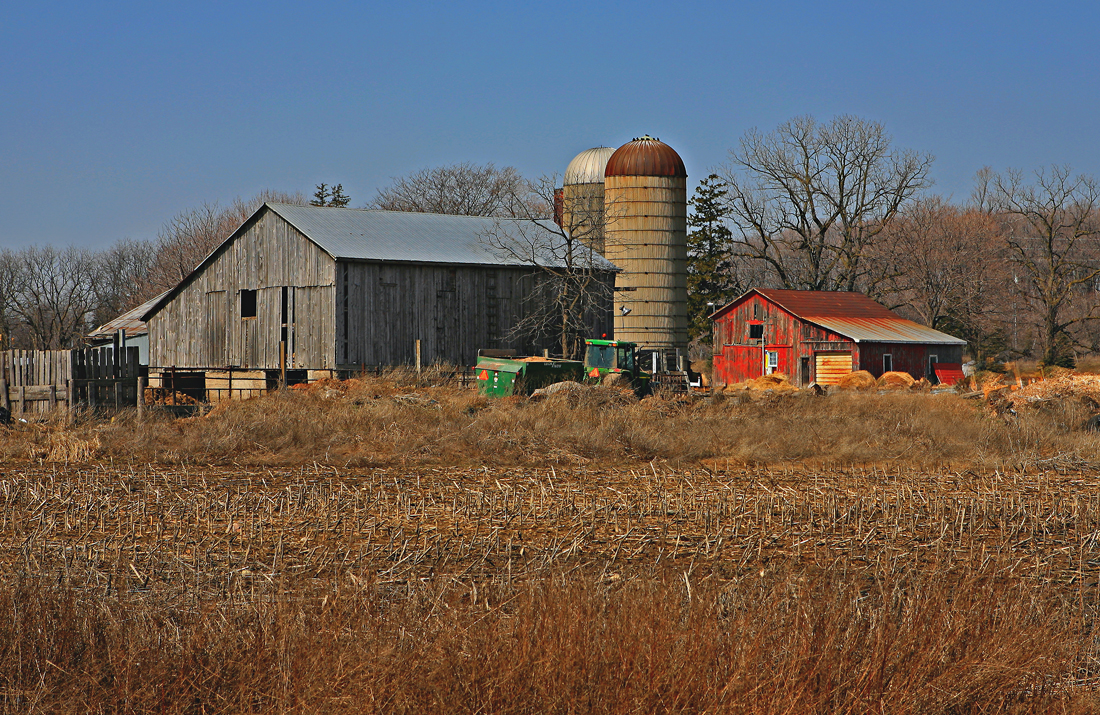 Farm Landscape