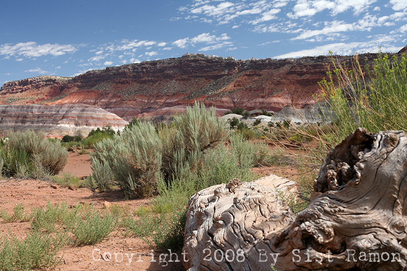 IMG_6860.jpg