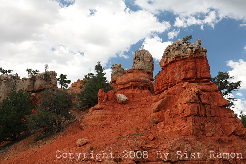 IMG_6873.jpg