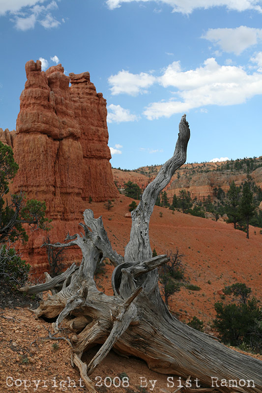 IMG_6880.jpg