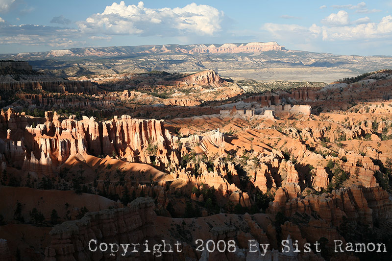 IMG_6895.jpg