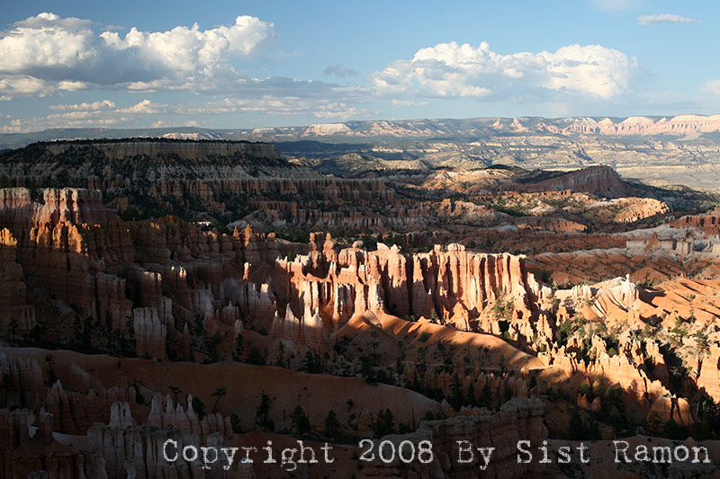 IMG_6897.jpg
