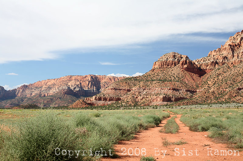 IMG_6737.jpg